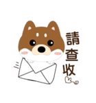 柴犬の小さな日（個別スタンプ：8）