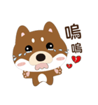 柴犬の小さな日（個別スタンプ：10）