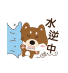 柴犬の小さな日（個別スタンプ：13）
