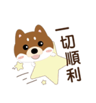 柴犬の小さな日（個別スタンプ：14）