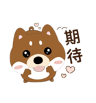 柴犬の小さな日（個別スタンプ：17）