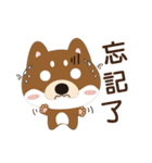 柴犬の小さな日（個別スタンプ：22）