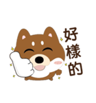 柴犬の小さな日（個別スタンプ：27）