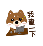 柴犬の小さな日（個別スタンプ：29）