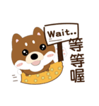 柴犬の小さな日（個別スタンプ：31）