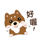 柴犬の小さな日（個別スタンプ：32）