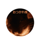 チンチラの日々（個別スタンプ：2）