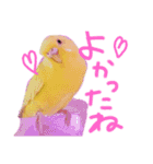 すけかく4（個別スタンプ：3）
