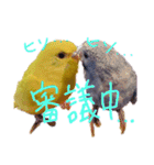 すけかく4（個別スタンプ：8）