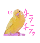 すけかく4（個別スタンプ：13）