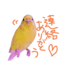 すけかく4（個別スタンプ：15）