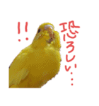 すけかく4（個別スタンプ：19）