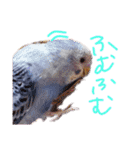 すけかく4（個別スタンプ：22）