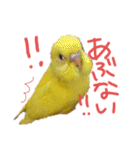 すけかく4（個別スタンプ：24）