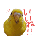 すけかく4（個別スタンプ：28）