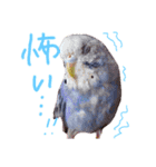 すけかく4（個別スタンプ：34）