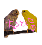 すけかく4（個別スタンプ：35）