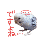 すけかく4（個別スタンプ：36）