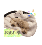 ルーク＆ロイス（個別スタンプ：3）