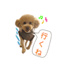 ルーク＆ロイス（個別スタンプ：8）