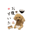 ルーク＆ロイス（個別スタンプ：9）