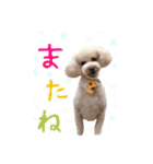 ルーク＆ロイス（個別スタンプ：10）