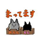 かげとねこ（個別スタンプ：13）