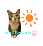 パトラさんとゴッドくん（個別スタンプ：12）