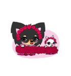おしゃれチワワとなかよしこねこ（個別スタンプ：3）