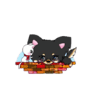 おしゃれチワワとなかよしこねこ（個別スタンプ：12）