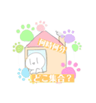 しらたま。スタンプ（個別スタンプ：19）