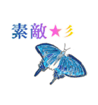 子どもたちの落書きスタンプ（個別スタンプ：12）