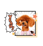 29.Hana（個別スタンプ：2）