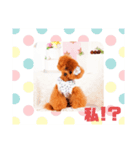 29.Hana（個別スタンプ：4）
