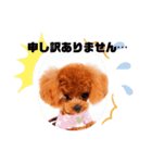 29.Hana（個別スタンプ：6）