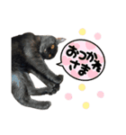 るなぴの日常スタンプ④（個別スタンプ：3）