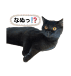 るなぴの日常スタンプ④（個別スタンプ：10）