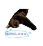 るなぴの日常スタンプ④（個別スタンプ：11）