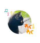 るなぴの日常スタンプ④（個別スタンプ：13）