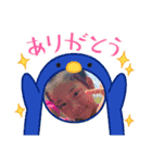 こっちゃんスタンプ︎︎︎︎︎☺︎（個別スタンプ：6）