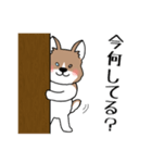 ＃ケイリー（個別スタンプ：5）