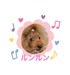 チェブ 5（個別スタンプ：3）