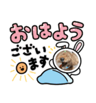 チェブ 5（個別スタンプ：18）