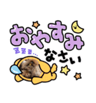チェブ 5（個別スタンプ：23）