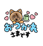 チェブ 5（個別スタンプ：24）