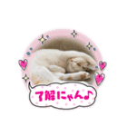 レオナルド三世④（個別スタンプ：24）