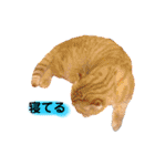 眠い猫スタンプ（個別スタンプ：8）