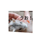 かわいいはむ（個別スタンプ：6）