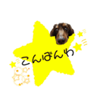 イヴくん by晩ママ（個別スタンプ：3）