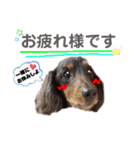 イヴくん by晩ママ（個別スタンプ：4）